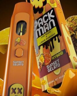 Buy Pack Man Disposable Online – Pack Man 2g Cart